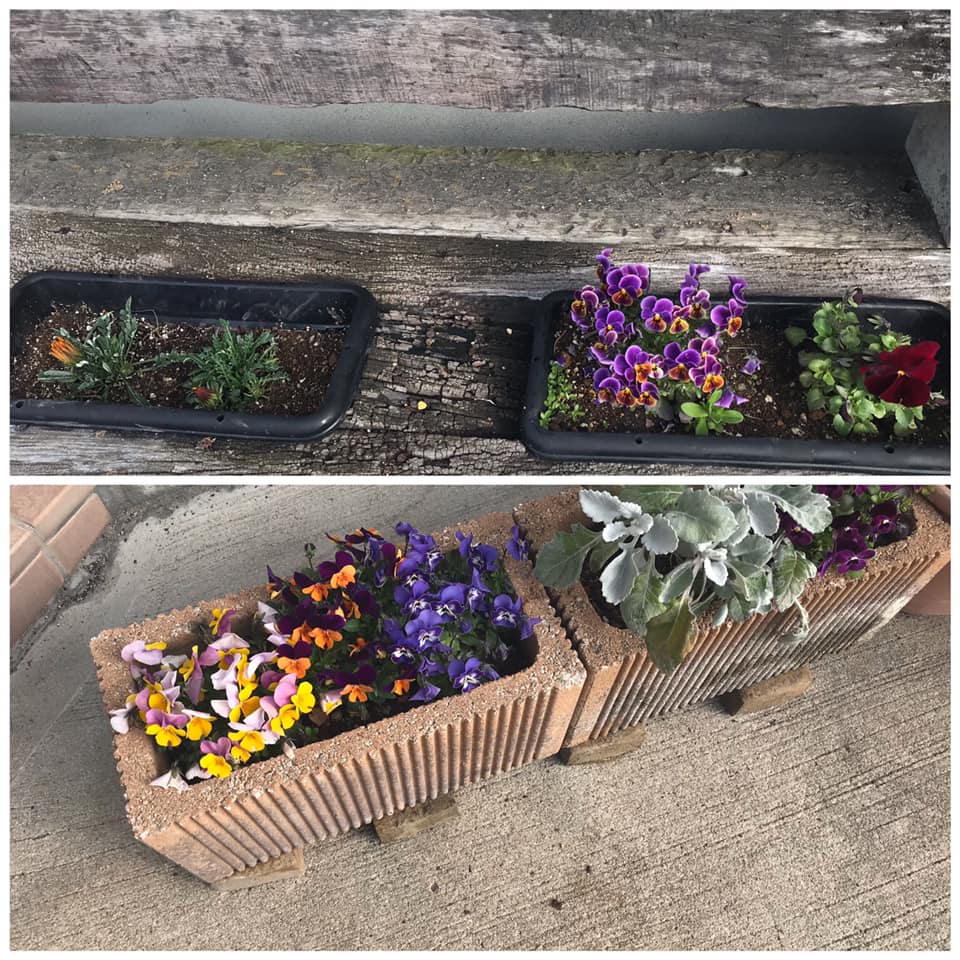 サロンのお花入れ替えしました。
