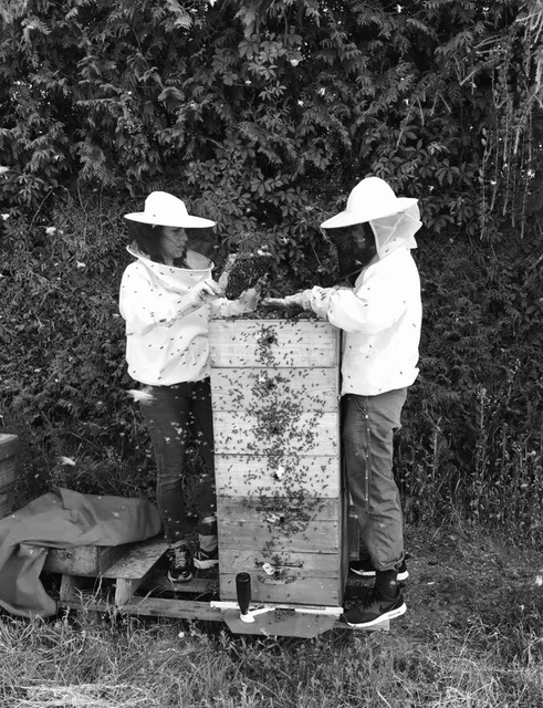 Ole & Elvira am Honeytower, Bienenstand Burghausen