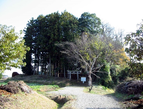 63.高龗(たかお)神社古墳 - 河内地区のホームページ - 宇都宮市