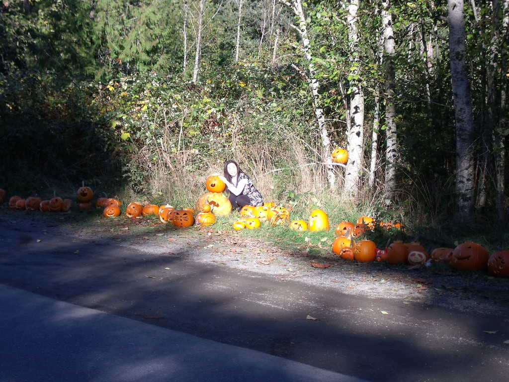 This is in Nanaimo at Halloween ナナイモでの「ハロウィン」 Tokyo Nanaimo BC