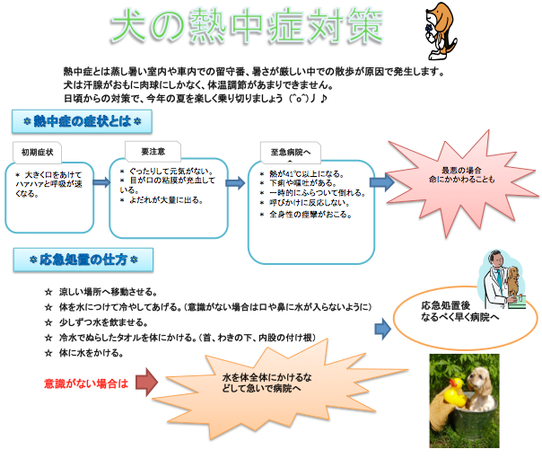 犬の熱中症対策 本田動物病院 犬の熱中症対策 本田動物病院
