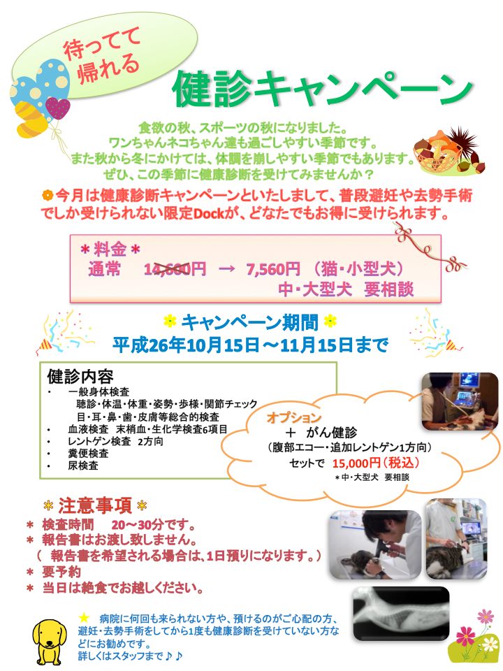 10月15日 水曜日 から 待ってて帰れる健診キャンペーン が始まります 本田動物病院 皮膚科 歯科に力を入れている鹿児島の動物病院です