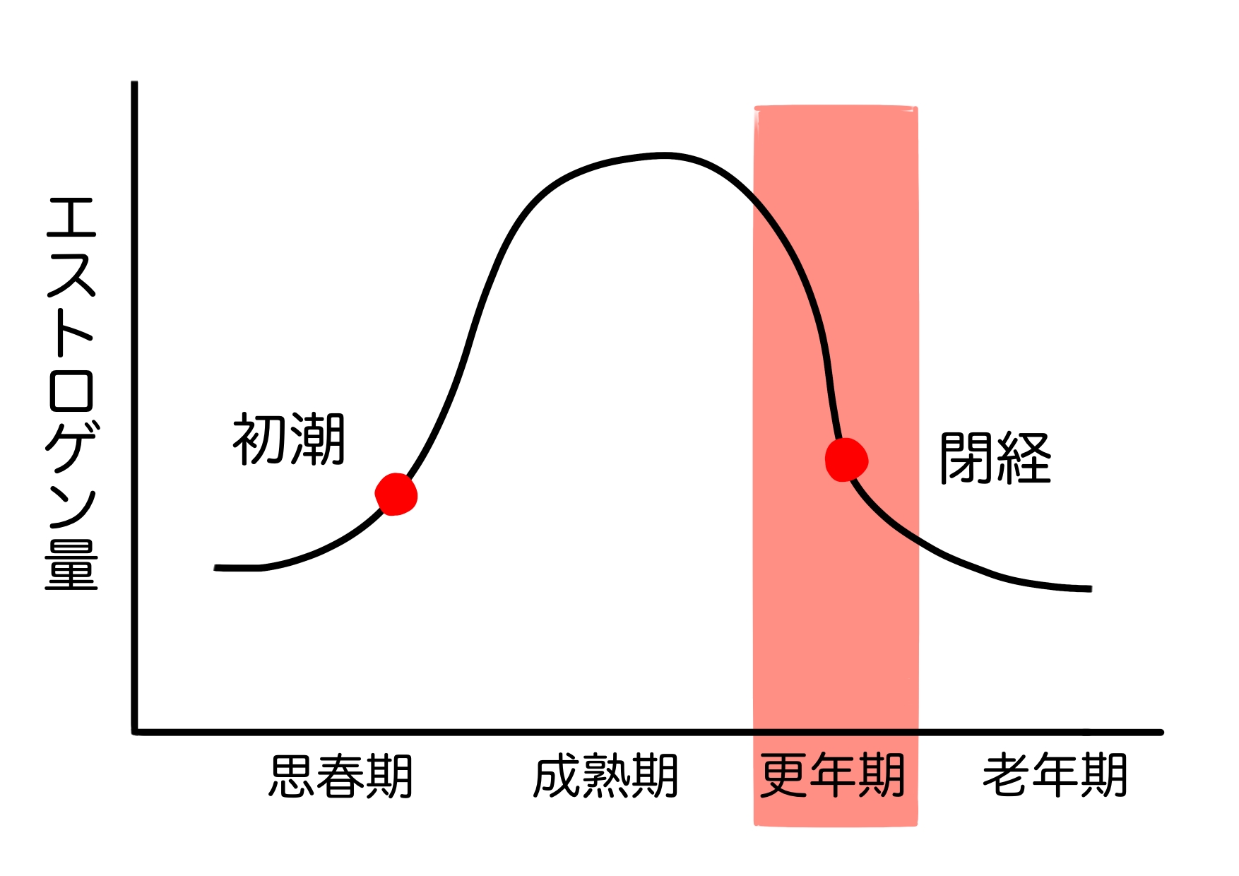 女性ホルモンって、いつまで必要？