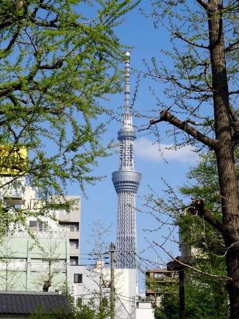 台東区浅草2丁目浅草寺境内からの東京スカイツリー