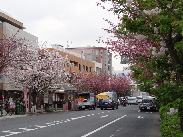 駒沢大学、三軒茶屋駅方面を望む