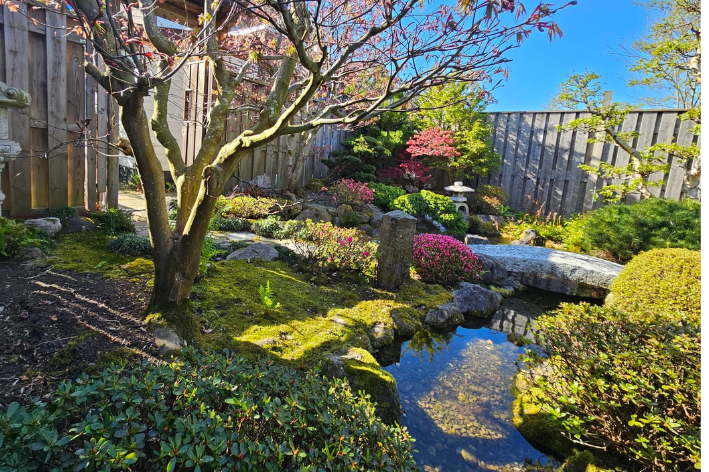 Binnenkijken in een zelfgemaakte Japanse tuin