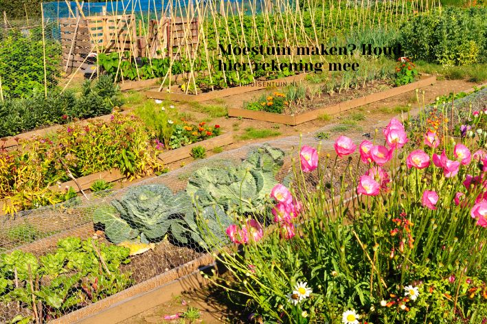 Moestuin maken? Houd hier rekening mee