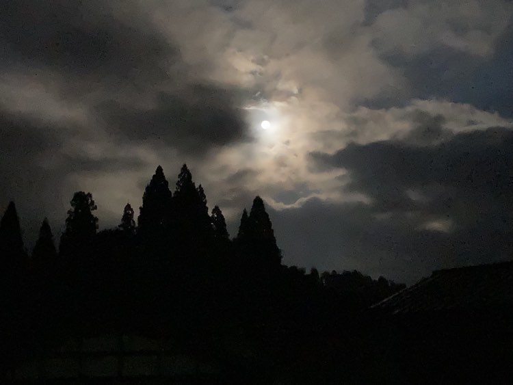 世界への信頼
