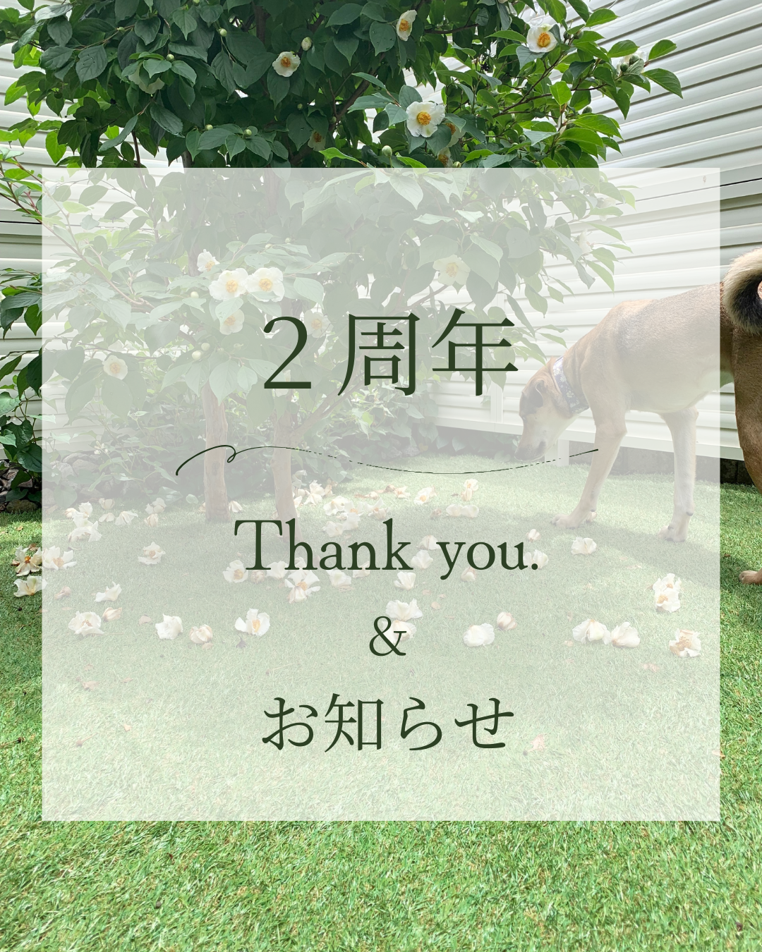 2周年＆お知らせ