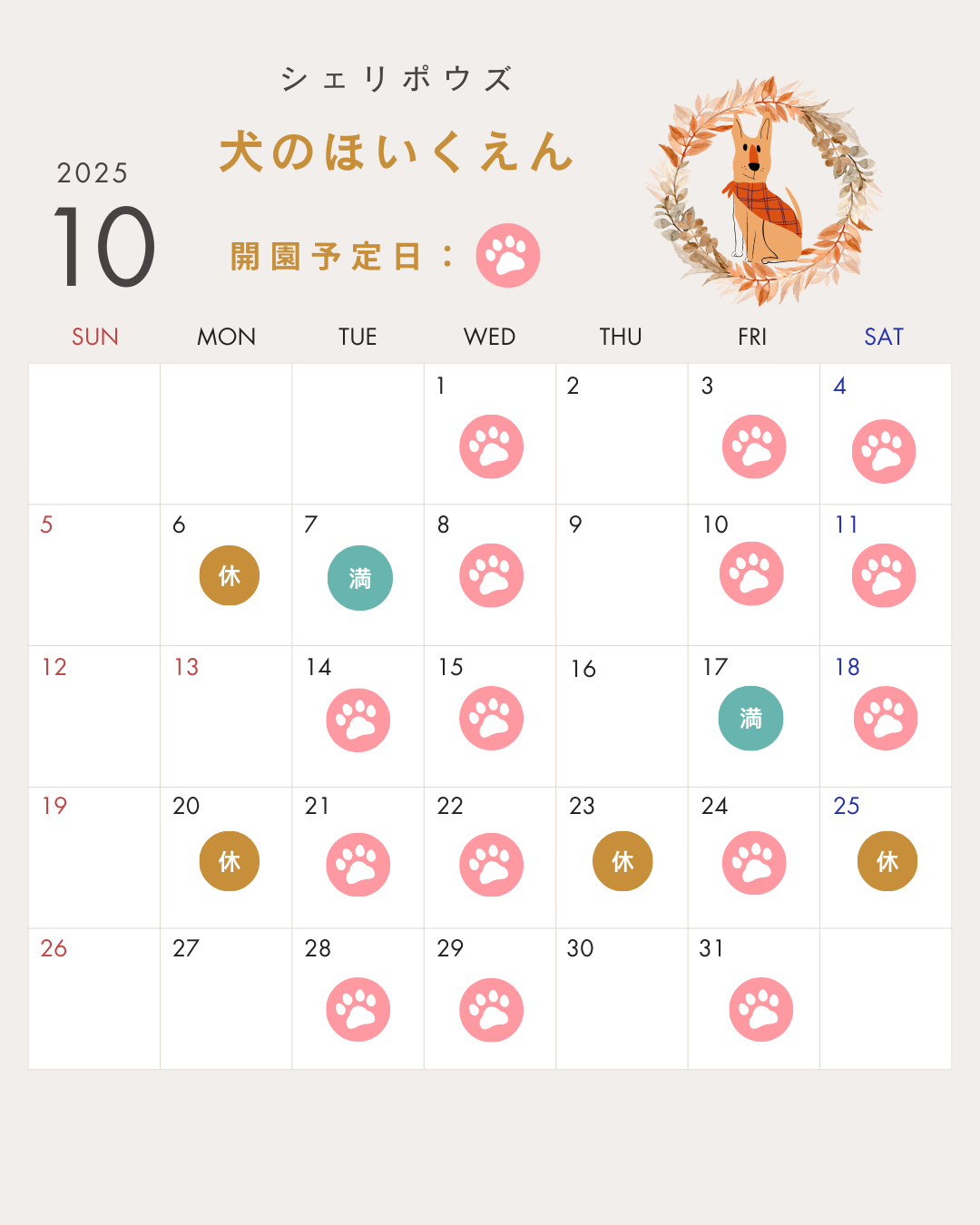 10月犬のほいくえん