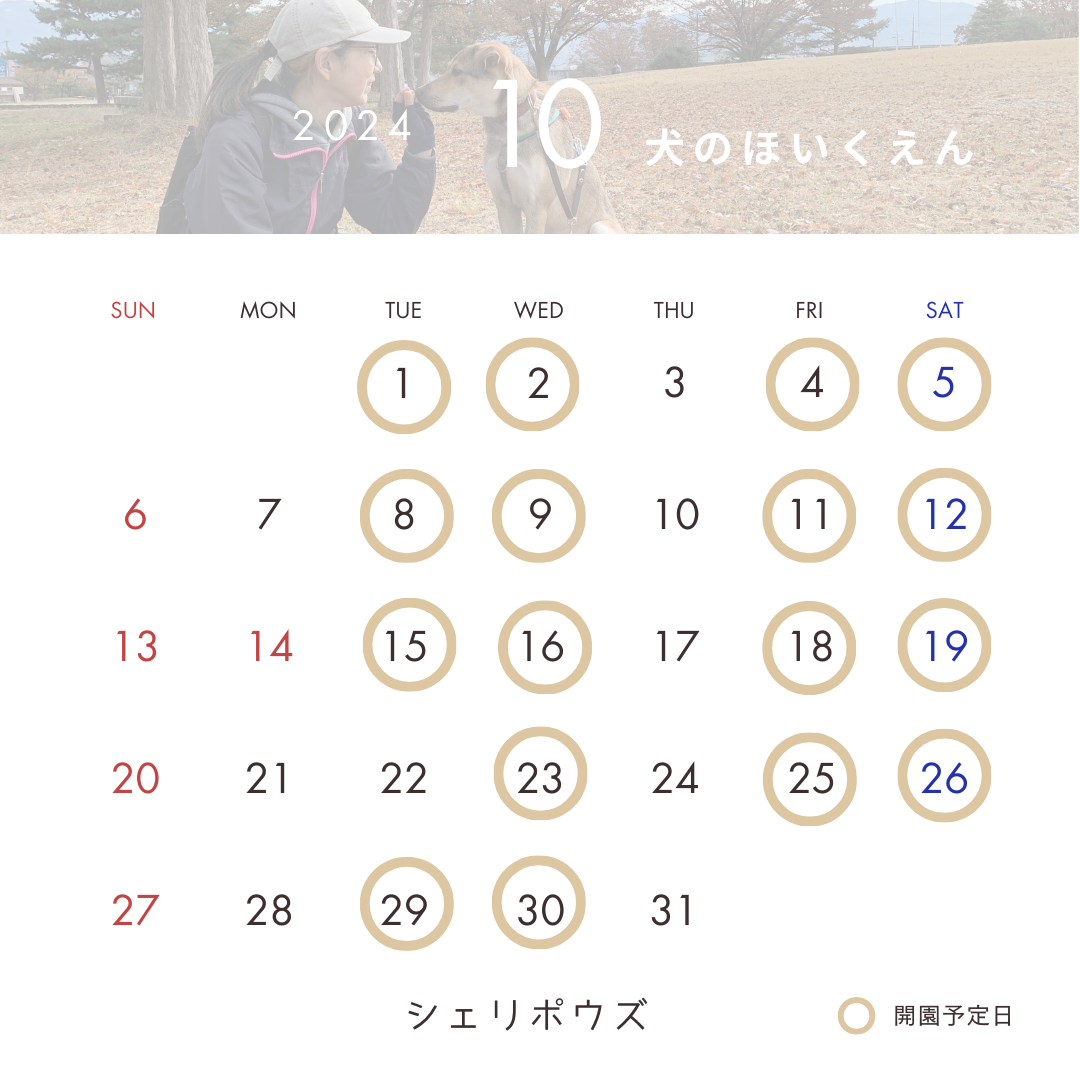 10月犬のほいくえん予定日