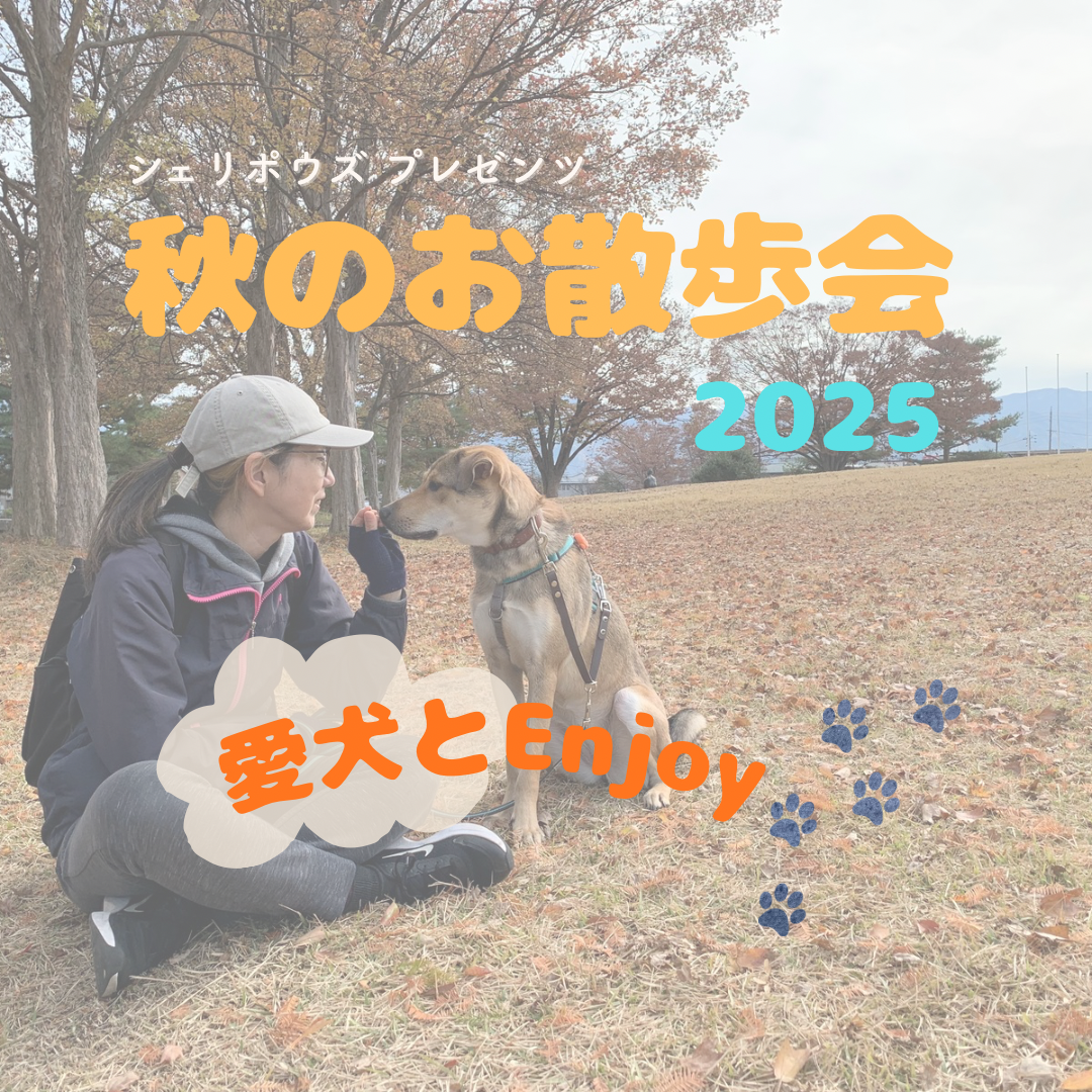 初お散歩会開催します