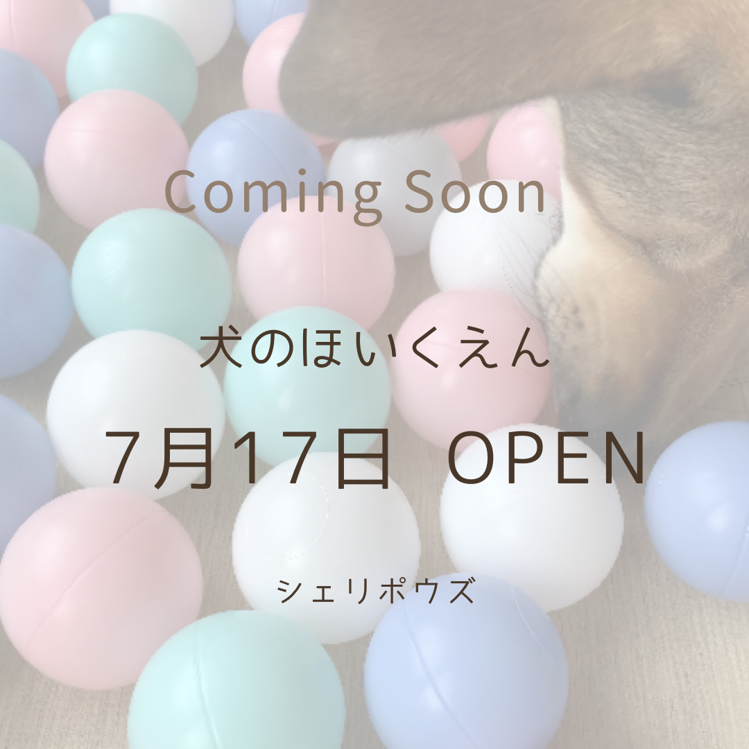 7月OPEN予定