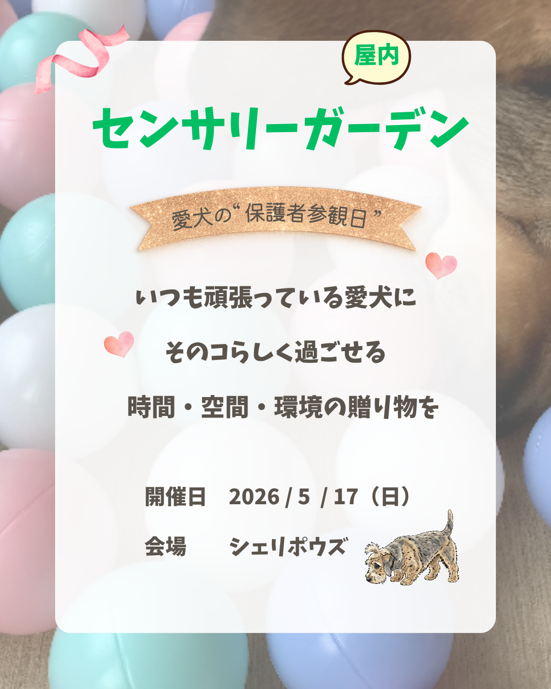 センサリーガーデン