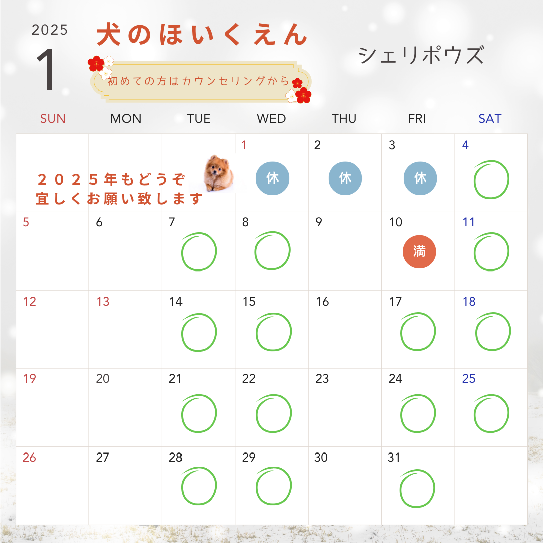 2025年1月犬のほいくえん
