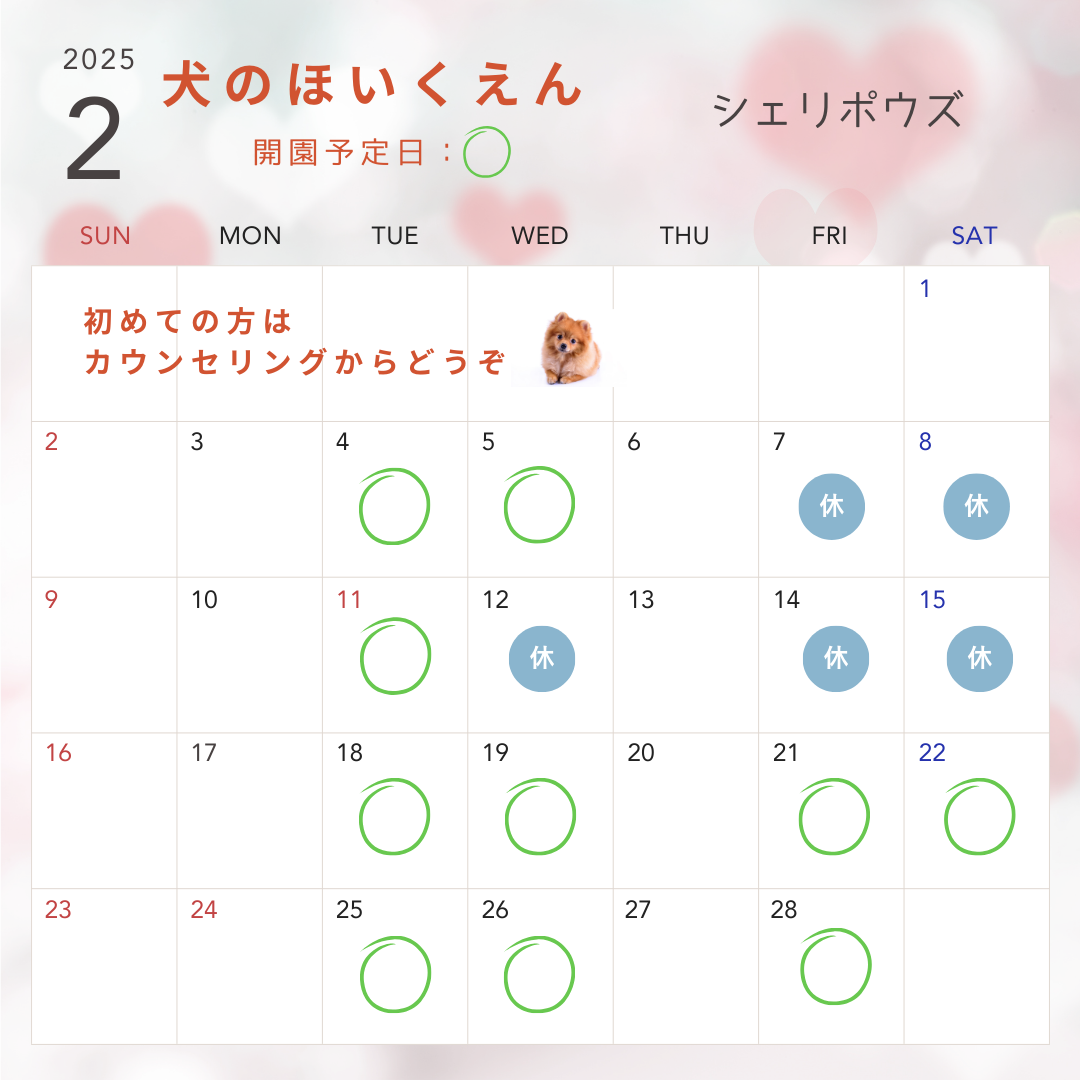 2月犬のほいくえん