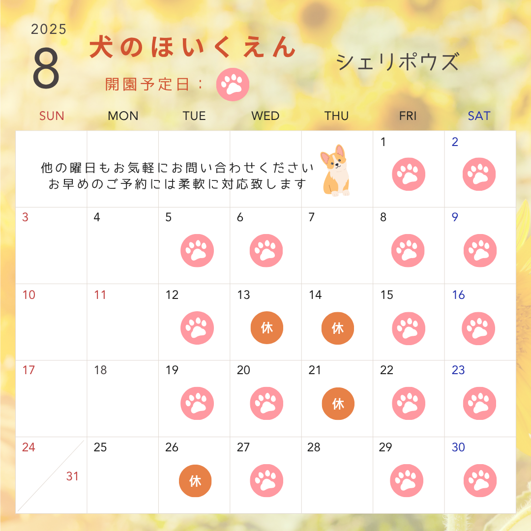 8月犬のほいくえん