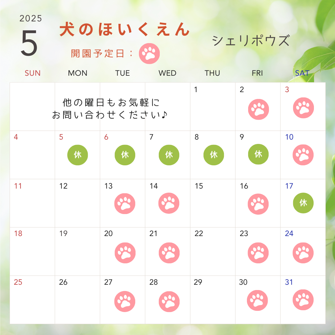 5月犬のほいくえん