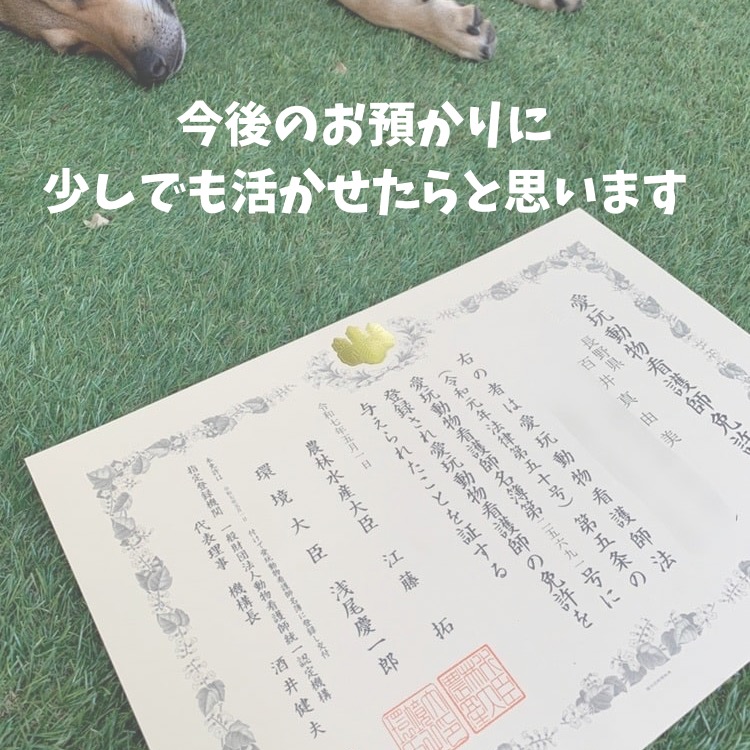 愛玩動物看護師
