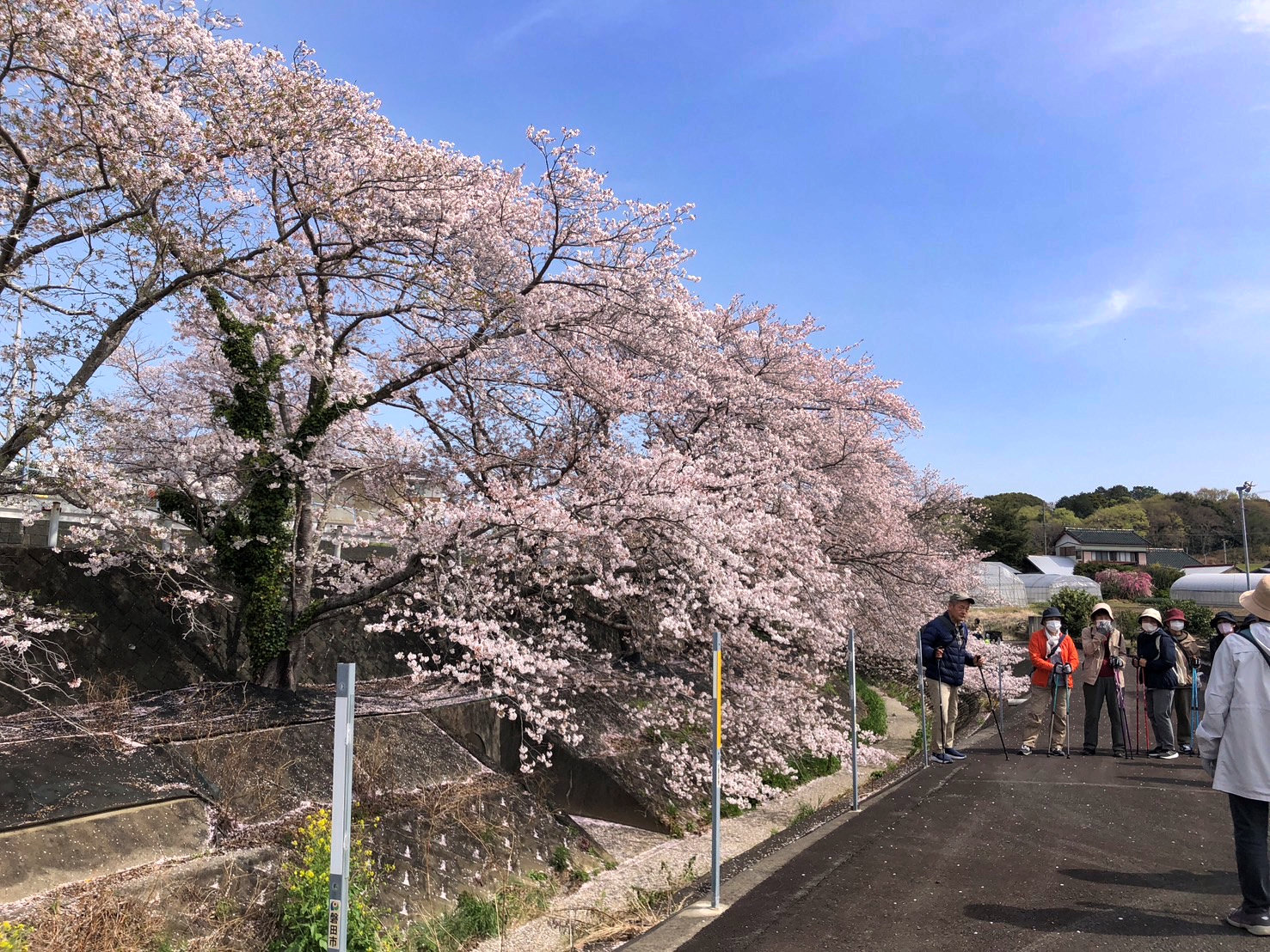 令和７年４月のノルディック