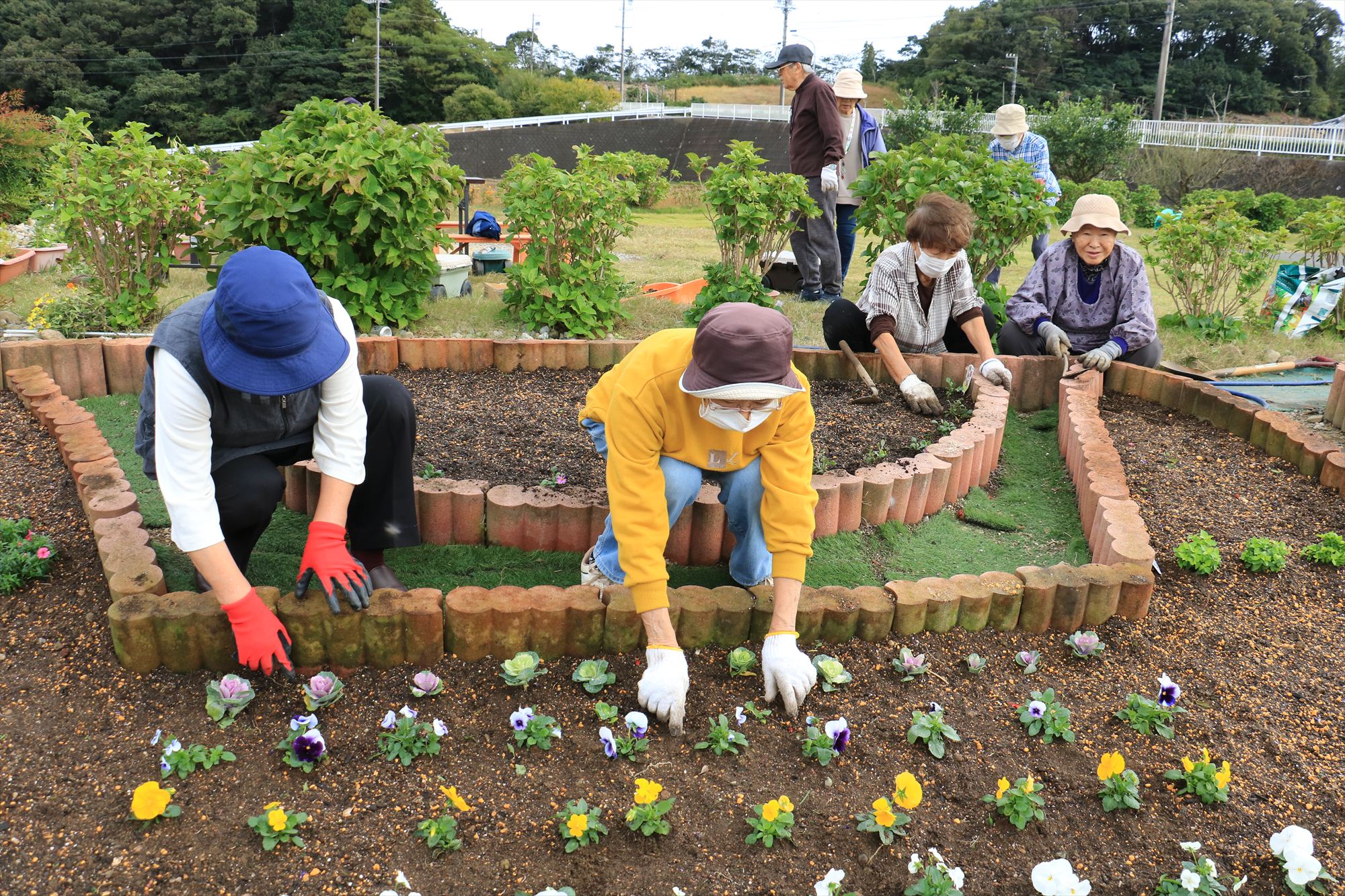 冬～来年の春の花壇に模様替えをしました