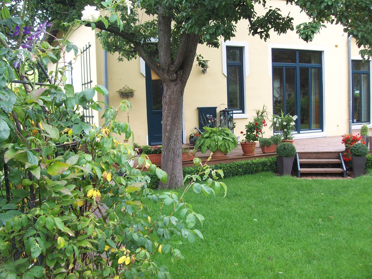 Terrassenansicht