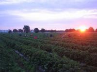 Sonnenaufgang