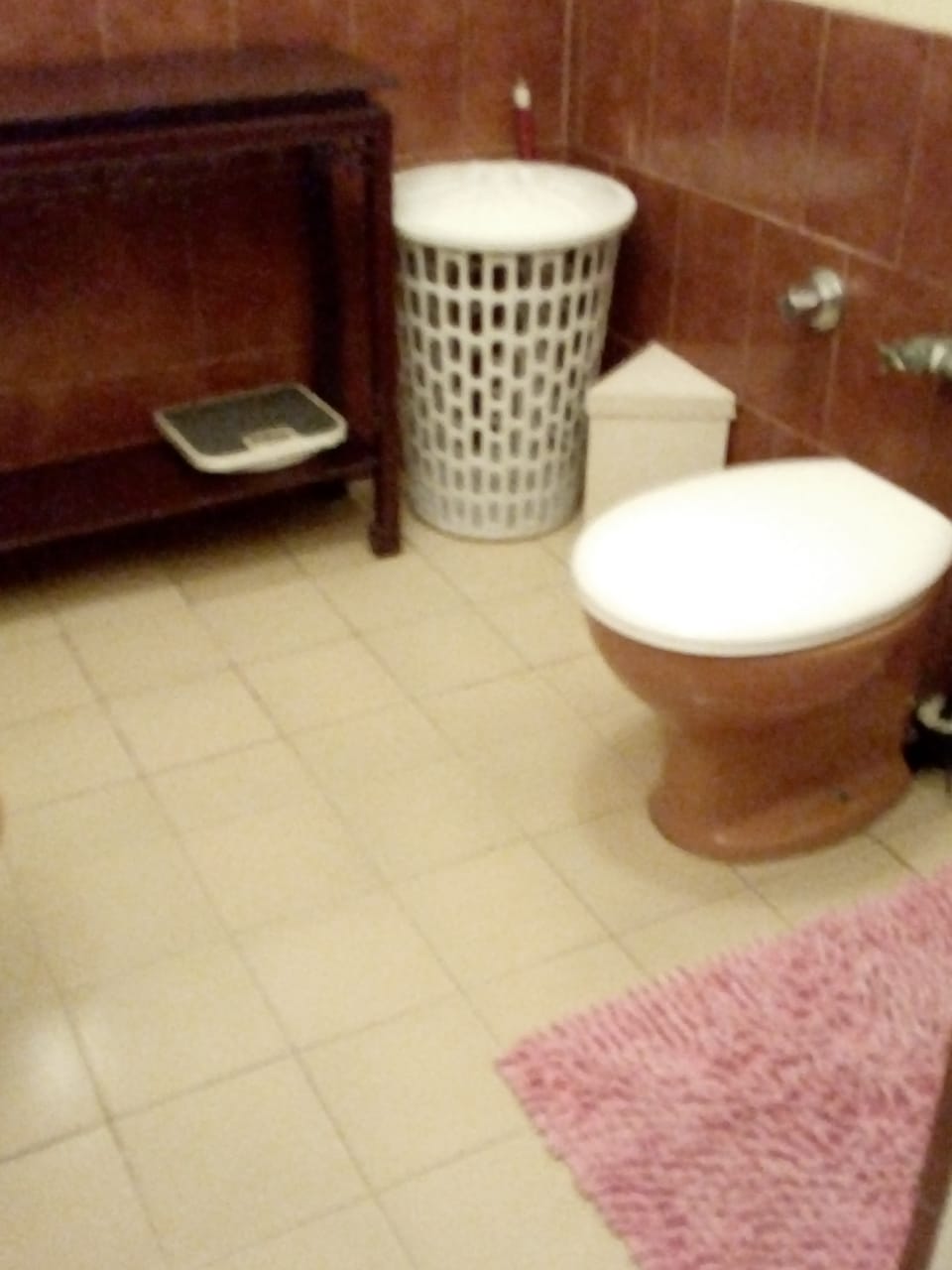 shelf, dirty clothes basket, toilet and carpet before the shower box, ready for guests