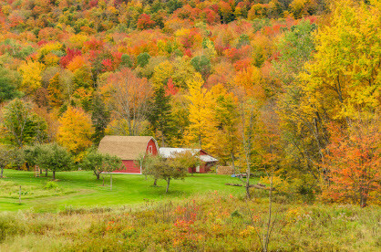 Propane has many uses in the agricultural market from crop drying to powering vehicles. 