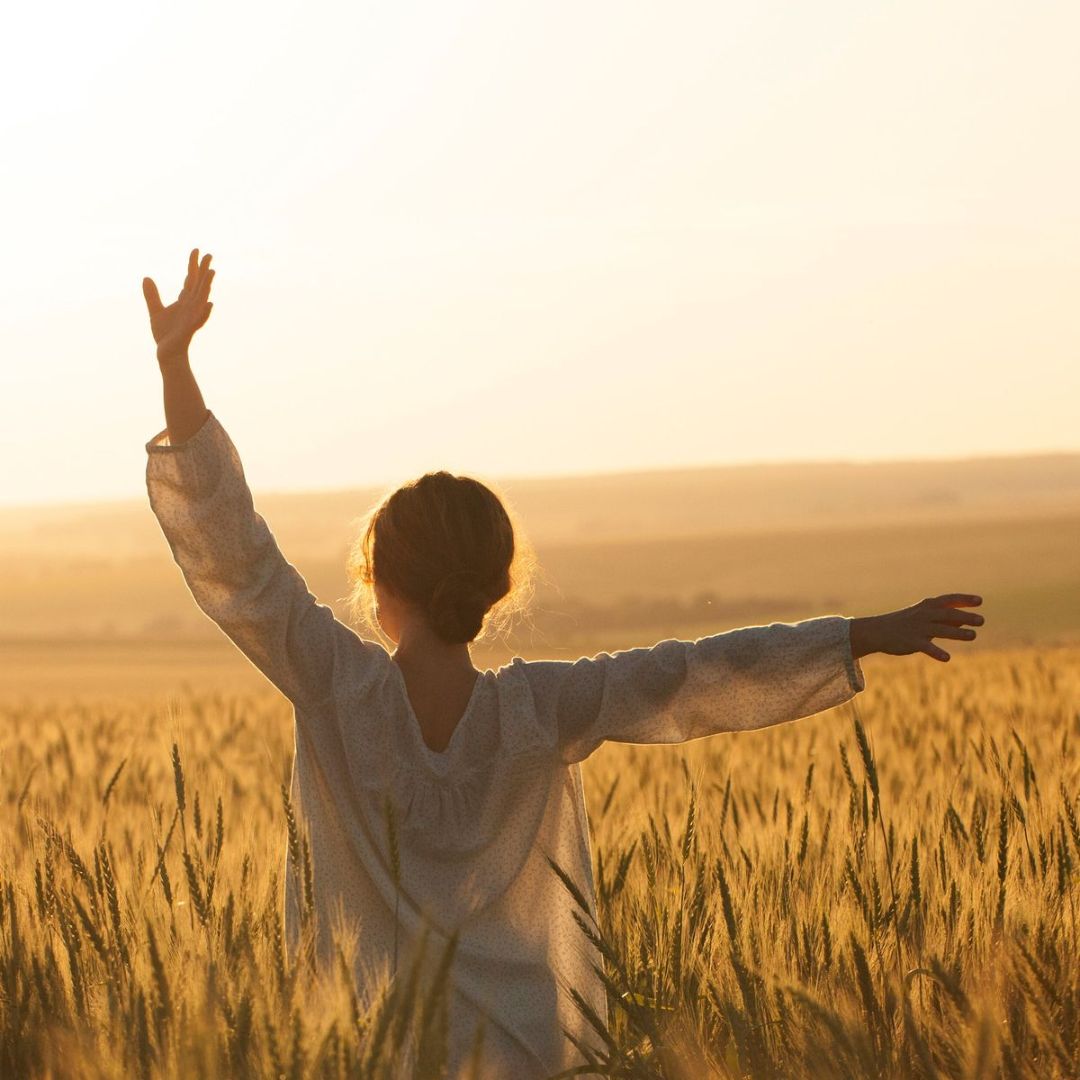 El Poder Transformador de la Gratitud