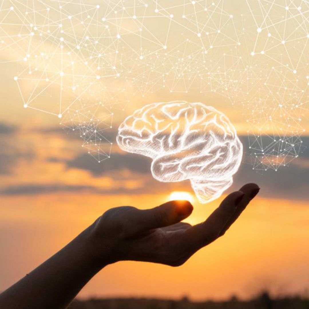 LA MENTE COMO ARQUITECTO DEL CEREBRO: EL PODER DE LA PLASTICIDAD NEURONAL