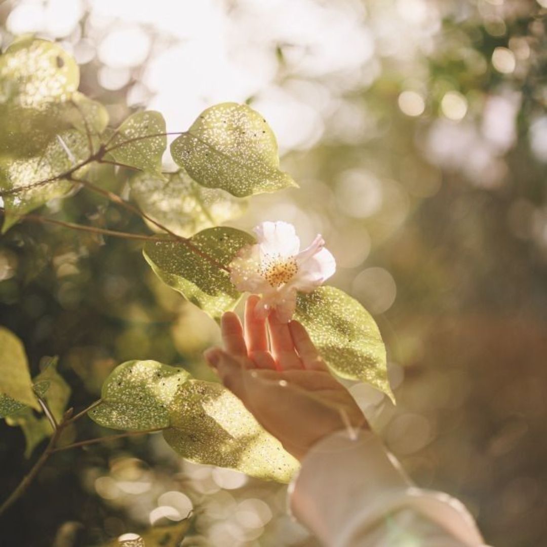 DESBLOQUEA TU REALIDAD CON LA GRATITUD
