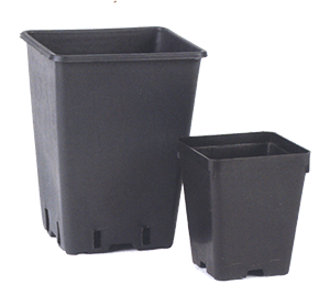 Vaso Quadrato per coltivazione - Benvenuti su Karkadè!