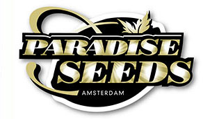 Paradise Seeds - Autofiorenti