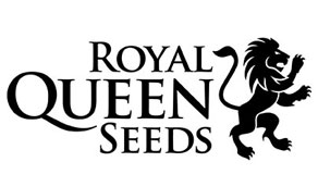 Royal Queen Seeds - Autofiorenti