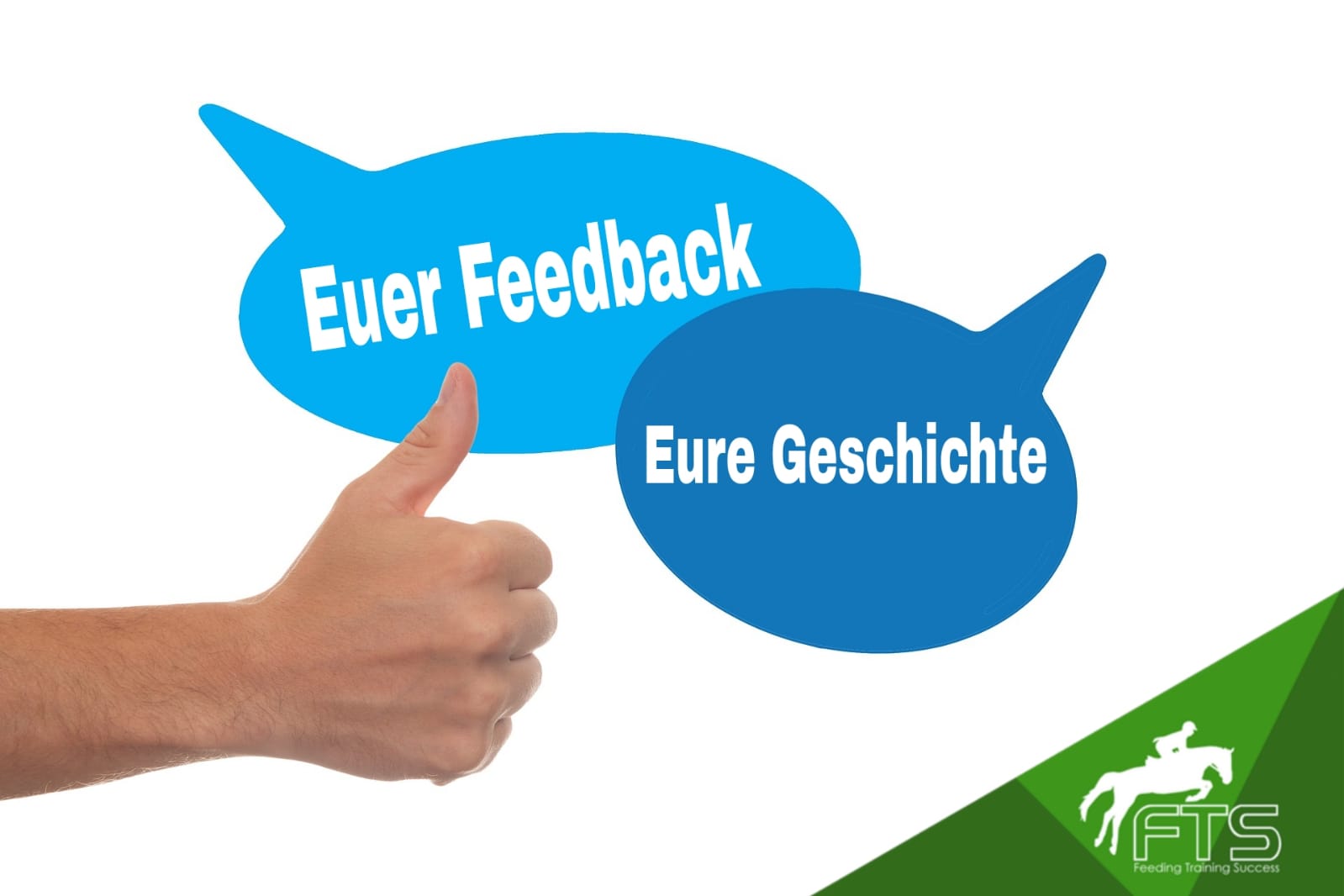 Feedback