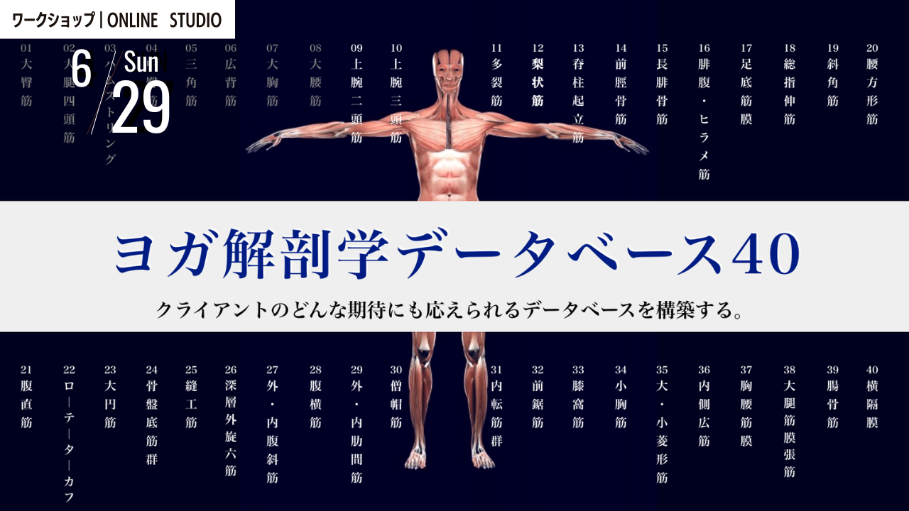 ヨガ解剖学専門スクールで学ぼう！内田かつのりによるヨガ指導者