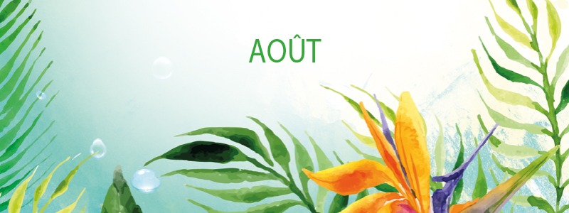 Programme Août 2023