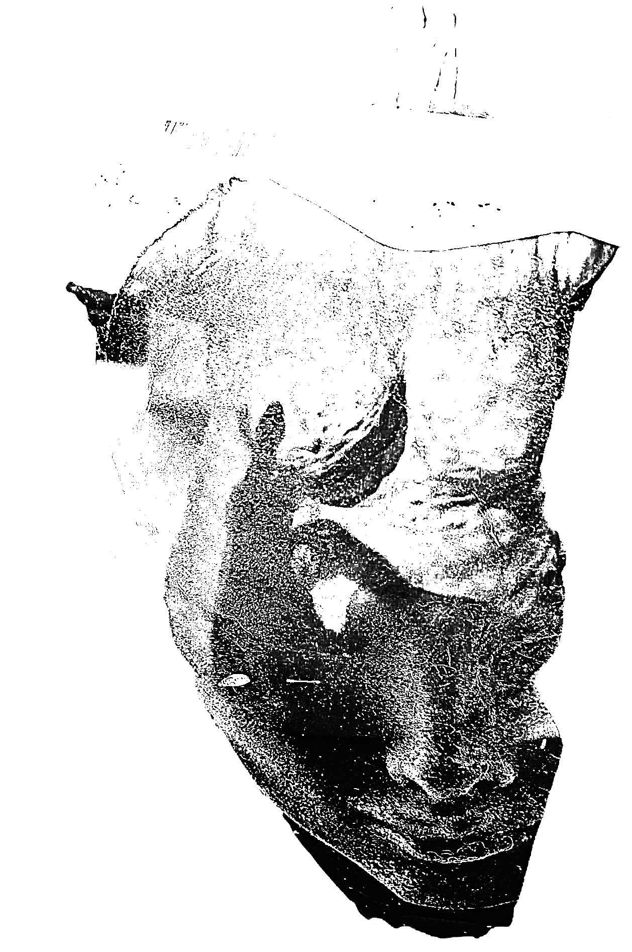 Fotocollage auf Hahnemühlepapier 