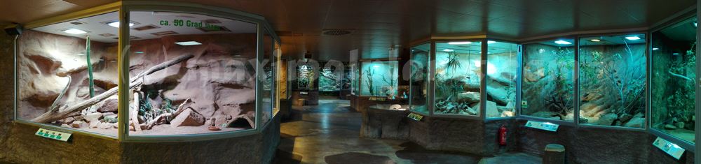 Panorama Hauptraum im Reptilium Landau (c) maximalplanet.com 2017
