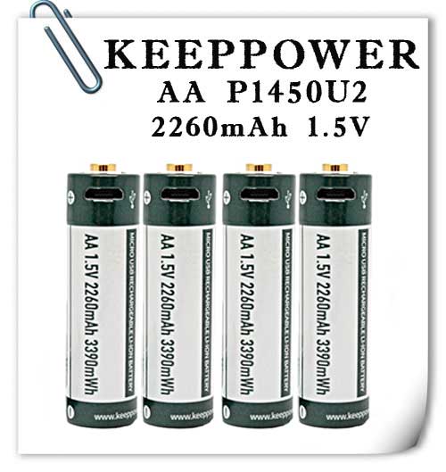 KeepPower P1450U2 AA 1.5V 2260mAh