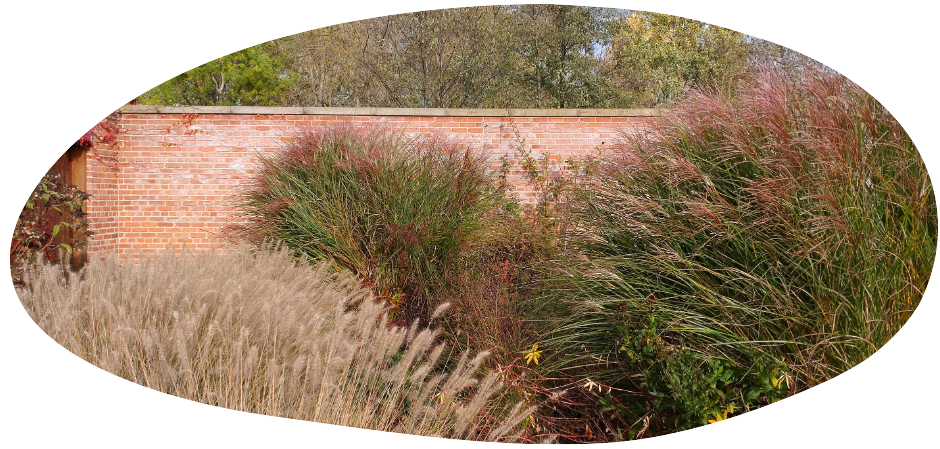 Pflanzplanungen Inspirierende Gartenwelten