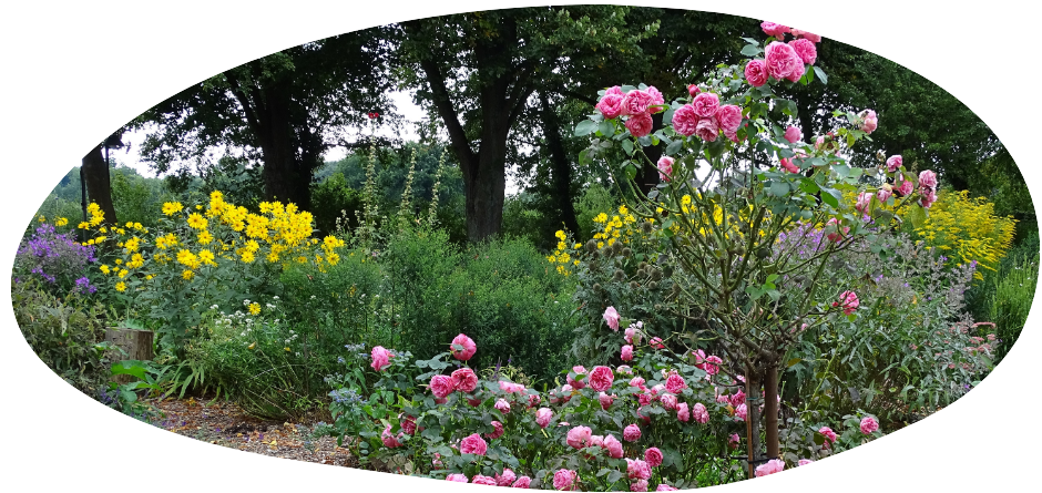 Rosiger Bauerngarten