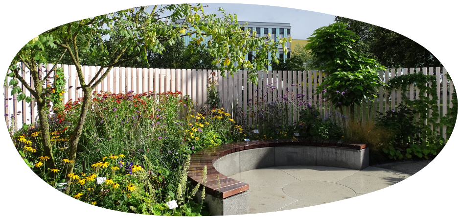 Buntes Beet auf der BUGA Erfurt