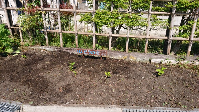 芦ノ牧温泉駅に紫陽花を植樹