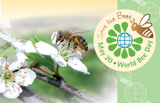 Initiative World Bee Day