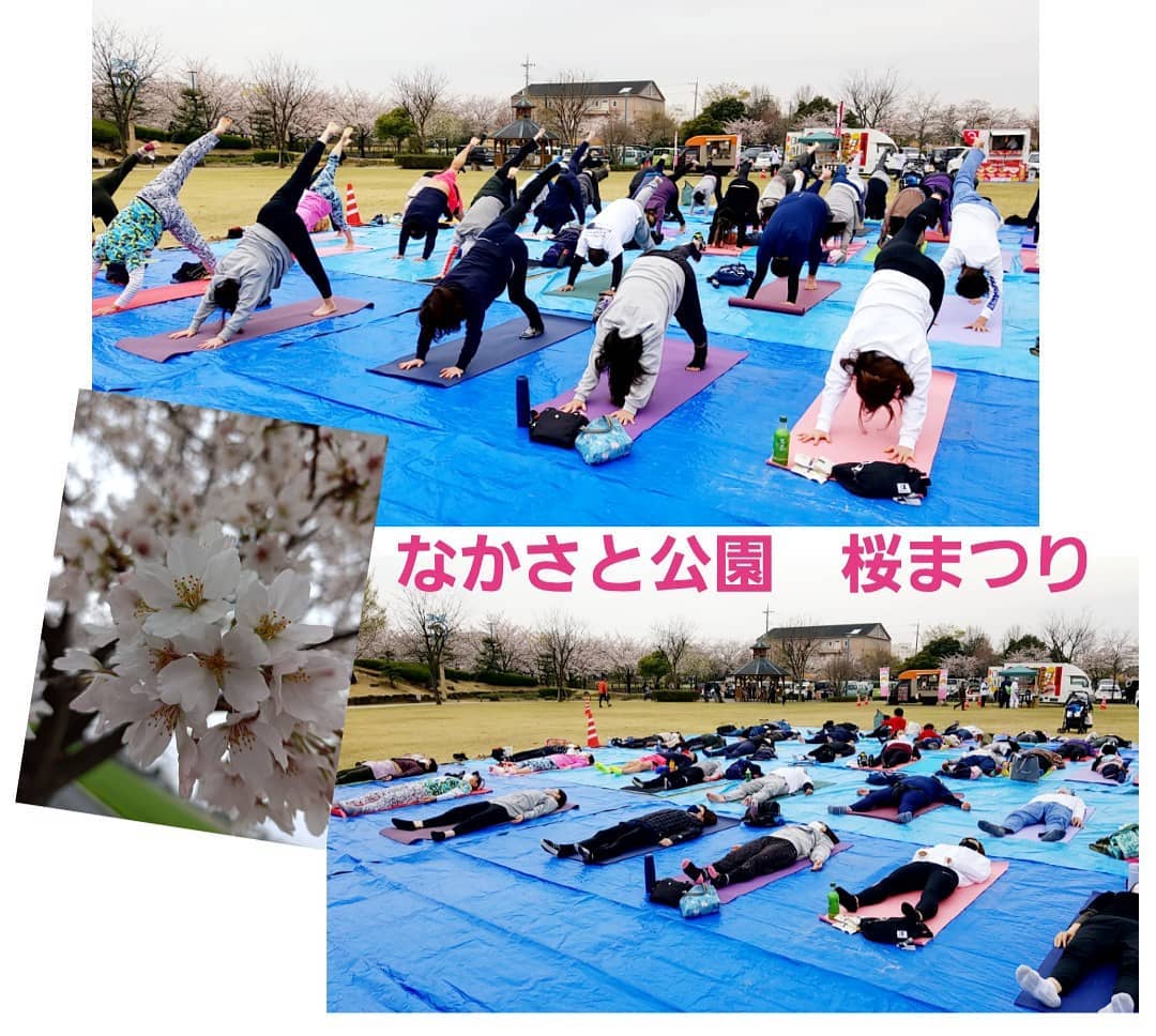 なかさと公園　桜まつり