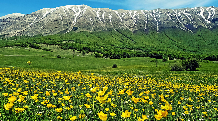 Primavera in Abruzzo: ecco le escursioni da non perdere