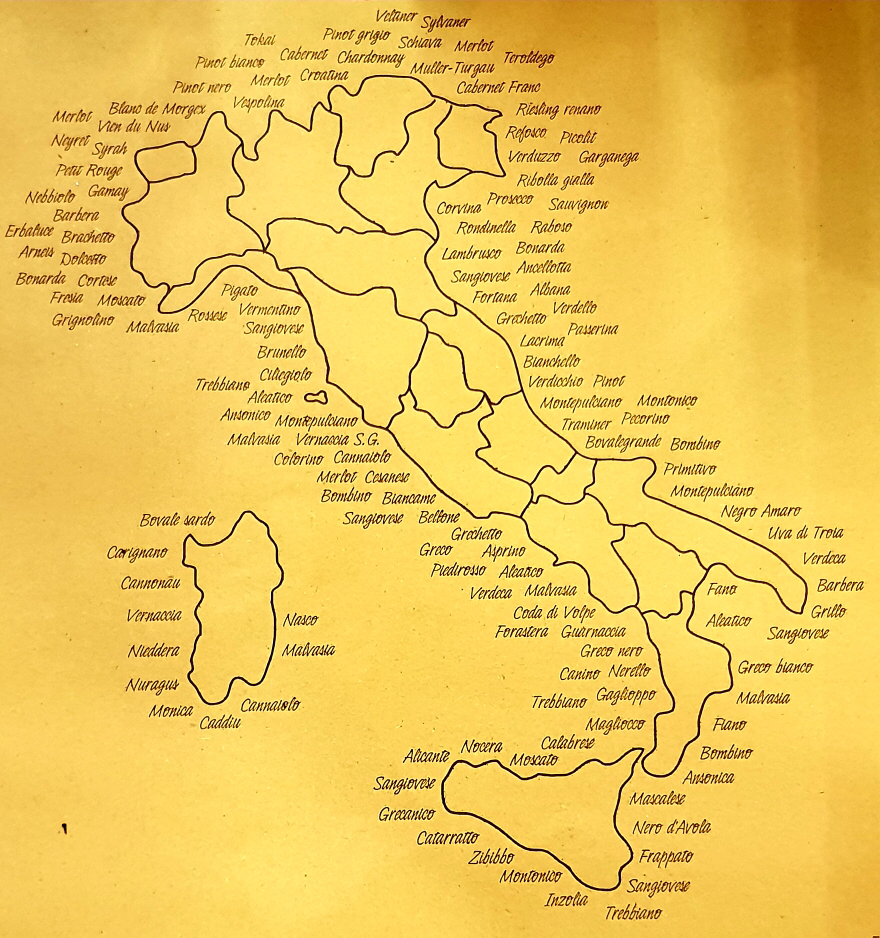 Wine tasting course in Italy