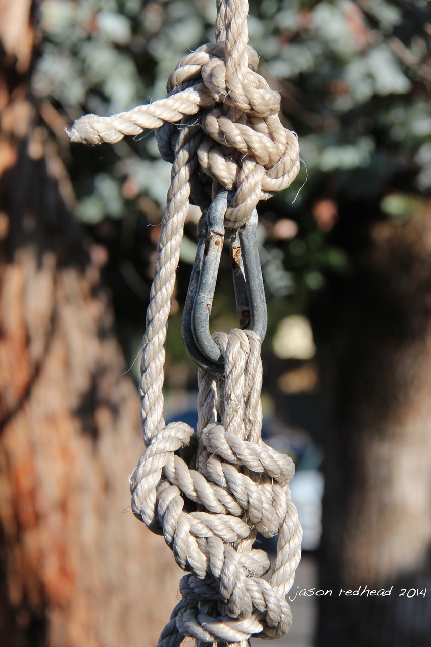  14-03-14 scientific tangle; thank you for your strength as you hold me while i swing feeling the wind on my face, howley park, nsw 